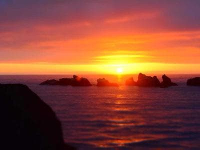 [선형 대수 2] 행렬 심화